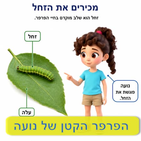 הפרפר הקטן של נועה